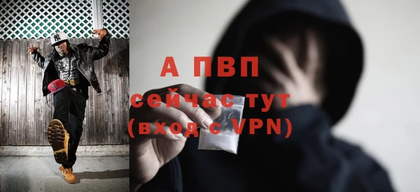 соль ск Коряжма