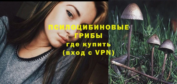 соль ск Коряжма