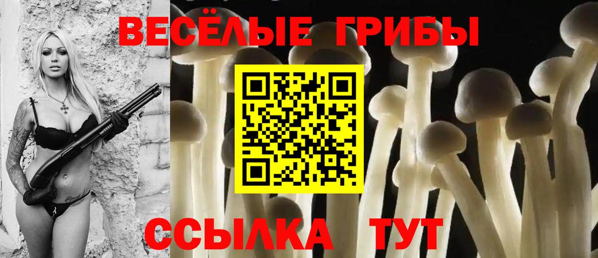 Псилоцибиновые грибы прущие грибы Балаково