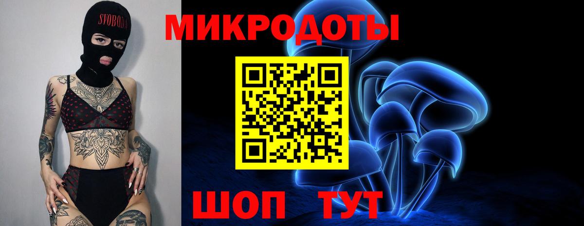 Балаково  Псилоцибиновые грибы прущие грибы  Псилоцибиновые грибы Psilocybine cubensis  Вход с VPN 